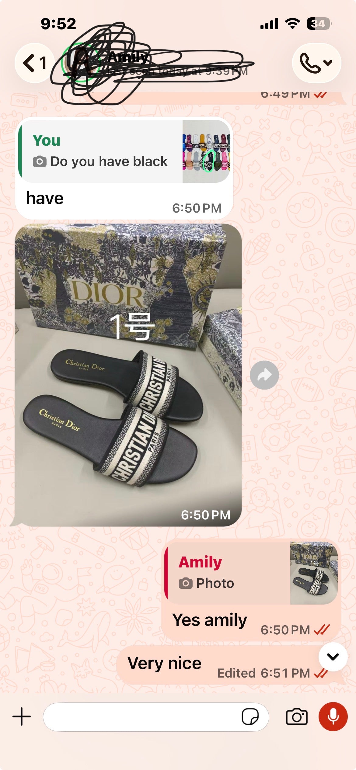 Dior Dway Slide